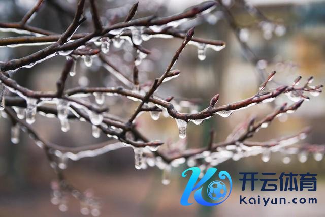明日四九尾，老话“好天四九尾，春来不昂首” 预示倒春寒驾临
