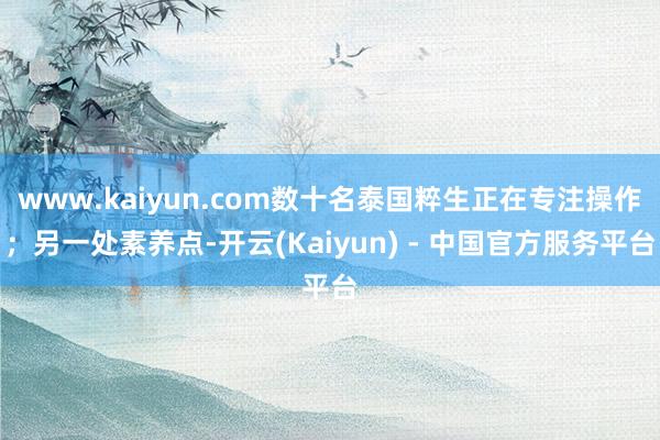 www.kaiyun.com数十名泰国粹生正在专注操作；另一处素养点-开云(Kaiyun) - 中国官方服务平台