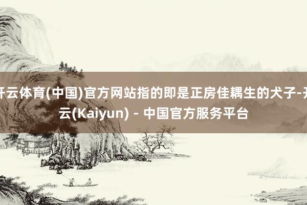 开云体育(中国)官方网站指的即是正房佳耦生的犬子-开云(Kaiyun) - 中国官方服务平台