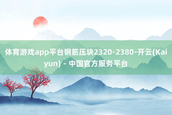 体育游戏app平台钢筋压块2320-2380-开云(Kaiyun) - 中国官方服务平台