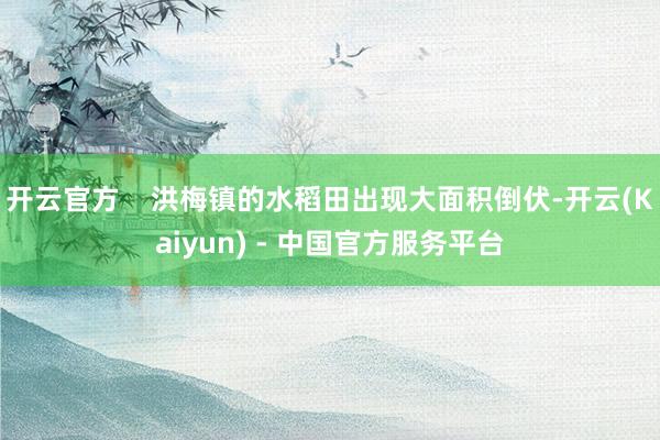 开云官方    洪梅镇的水稻田出现大面积倒伏-开云(Kaiyun) - 中国官方服务平台