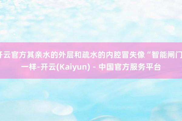 开云官方其亲水的外层和疏水的内腔冒失像“智能闸门”一样-开云(Kaiyun) - 中国官方服务平台