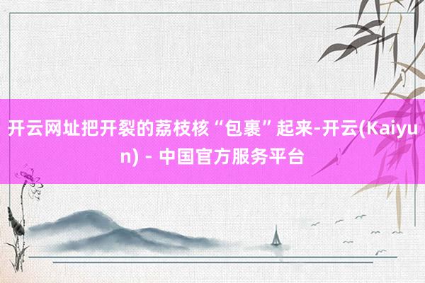开云网址把开裂的荔枝核“包裹”起来-开云(Kaiyun) - 中国官方服务平台